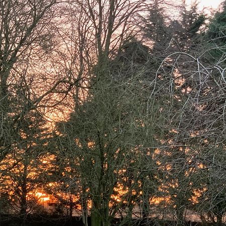 Aldercarr Hall Great Ellingham Dış mekan fotoğraf