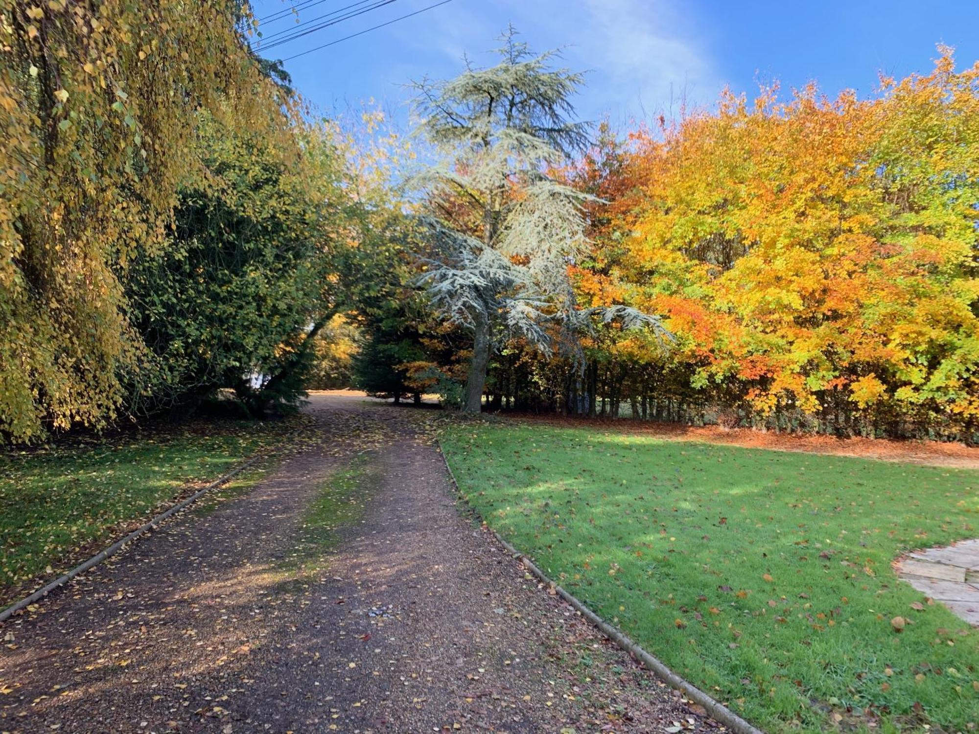 Aldercarr Hall Great Ellingham Dış mekan fotoğraf